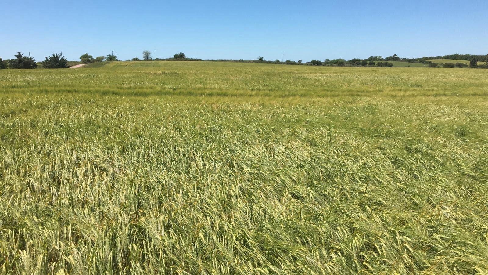 b6af3c8c-b2d9-4de7-a2ca-a35ab927f389