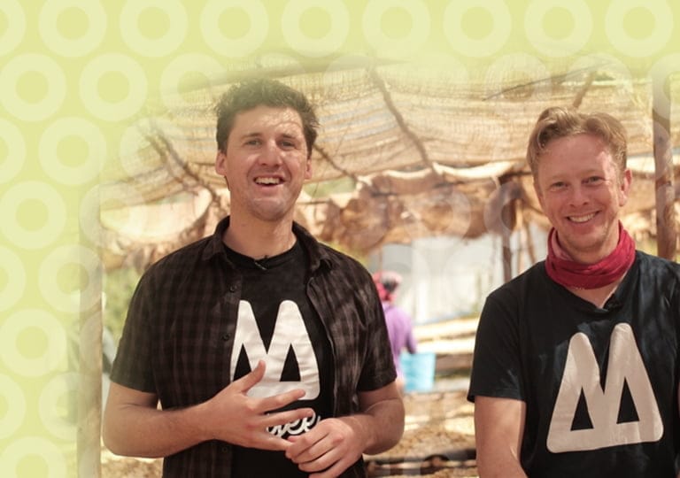 clp18-longread_9_bg_s